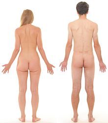 are mistaken. fine streaming amateur porn free variant, yes